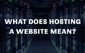 what does web hosting mean